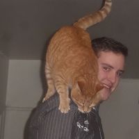 Joshua Mitchell's Photo