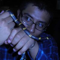 Jose Alberto Martinez-Yerena的照片