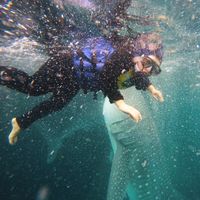 Rachma Rachma's Photo