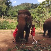 Christine Schubert's Photo