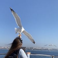 Мarj Tursun's Photo