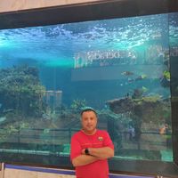 khalid ibrahim's Photo