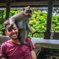 Graham Stewart的照片