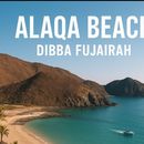 Alaqa Beach 🏖️- Camping 🏕️ Adventures 💫's picture