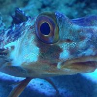 Fotos von Anubhav Chaturvedi