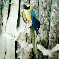 Sosha Thaxton的照片