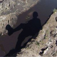 Fernando Fernando的照片