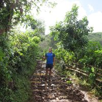 Fotos de Olly Pickard