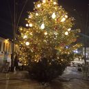 Tuileries Christmas Market的照片