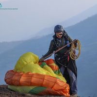 Alirezvan Feizy的照片