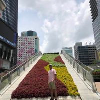 ali Aminiha的照片