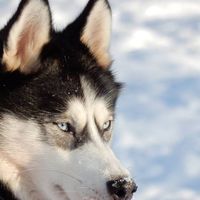 Fotos von Gabriela Sarman