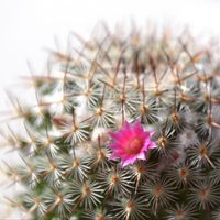 Christian Greger的照片