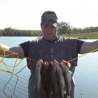 Fotos de Andrew Hummel