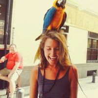 Alison Johnson's Photo