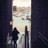 Nao Kawashima's Photo