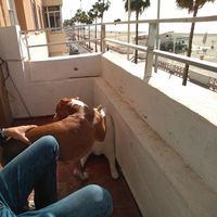 ALEJANDRO RODRIGUEZ ROSADO's Photo