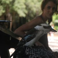 Candice Bouyon's Photo