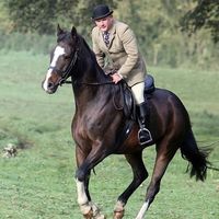 Фотографии пользователя Danny Ablott