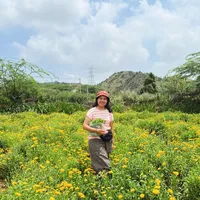 Globetrotter  .'s Photo