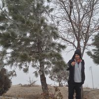 Emad Torbati's Photo