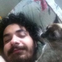 Gabriel Lopes's Photo