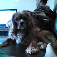 Fotos de Joshua  Trotter