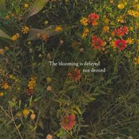 Aakriti Mark's Photo