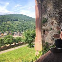 Mladen Cestar的照片