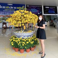 Vân Ford Bình Tân's Photo