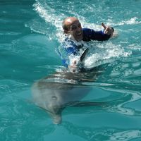 Steve Tisberger的照片