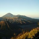 Trip to Bromo 's picture