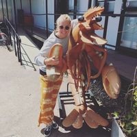 Julia Knutsson's Photo