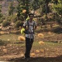 Kian Shams Mohamadi's Photo