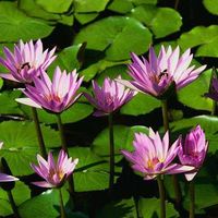 Baholy Erica Raharijaona's Photo