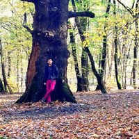 amirhossein riahi's Photo