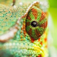 Fotos de Miłosz Laska