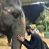 Fotos de Deniz Temiz