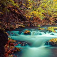 Fotos de Kayla Fiorry