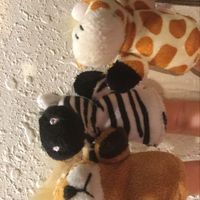 Shannon Whaples的照片