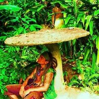 Boli Endre Balatoni's Photo