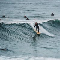 Eoin McGuire的照片