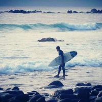 Portofino Surf's Photo