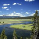 Visiting Several National Parks's picture