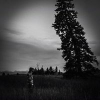 Brendan Bruce's Photo