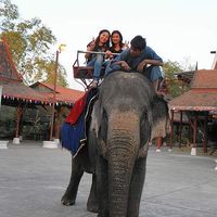 Xiao Ming Zhao's Photo