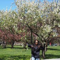 Hema Kanchipati的照片