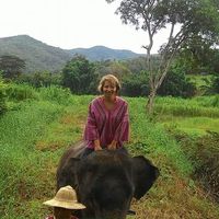 Maurel  Sophie的照片