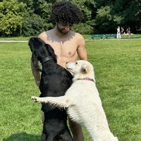 Yazar Taşkın's Photo