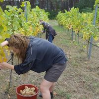 Anthea Heinisch的照片